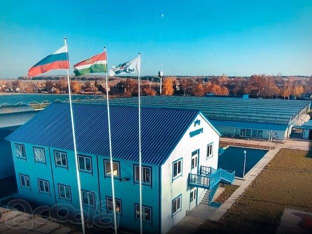 Предлагаю в Аренду Хозяйство тепличное с овощехранилищами