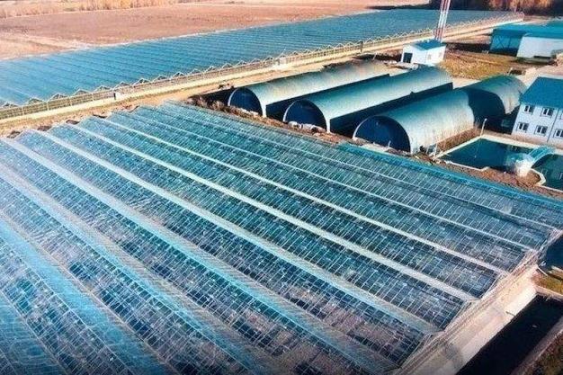 Продаётся тепличное хозяйство в Калужской области